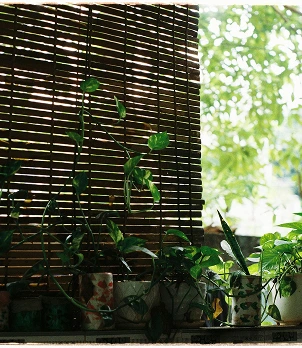 Blinds Manufacturers In Bangalore (4)